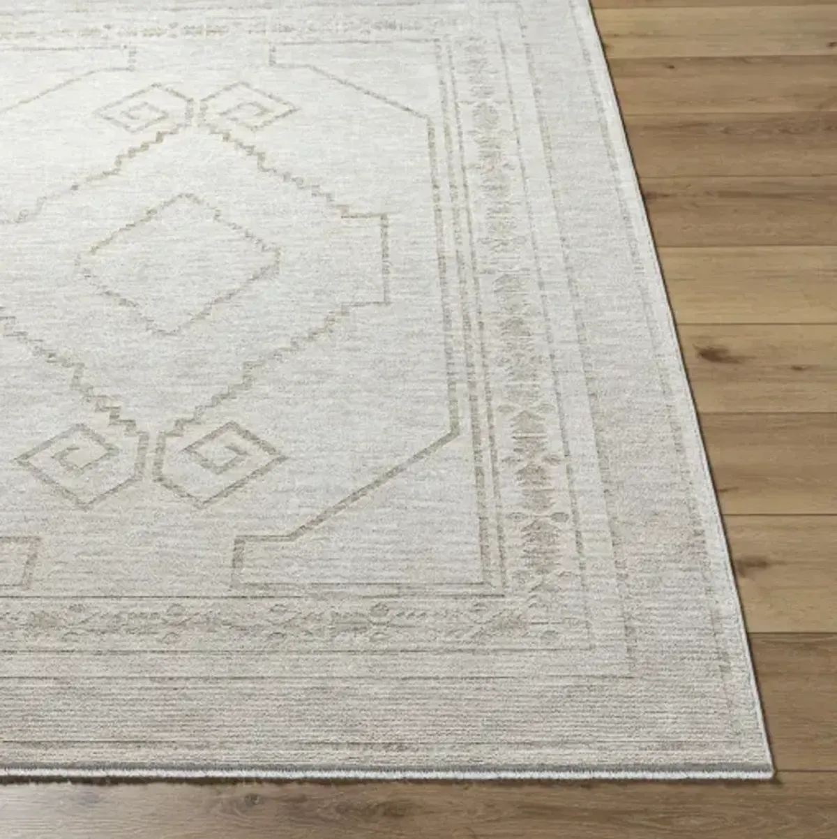 Emory EMO-2309 2'4" x 3'9" Machine Woven Rug