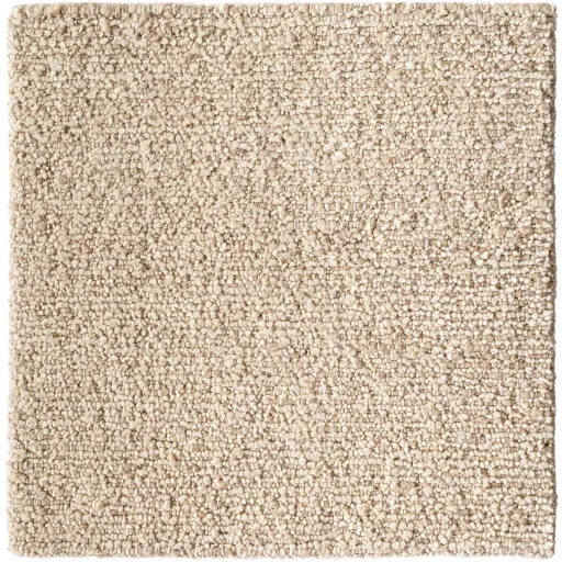 Davala DVL-2302 6' x 9' Handmade Rug