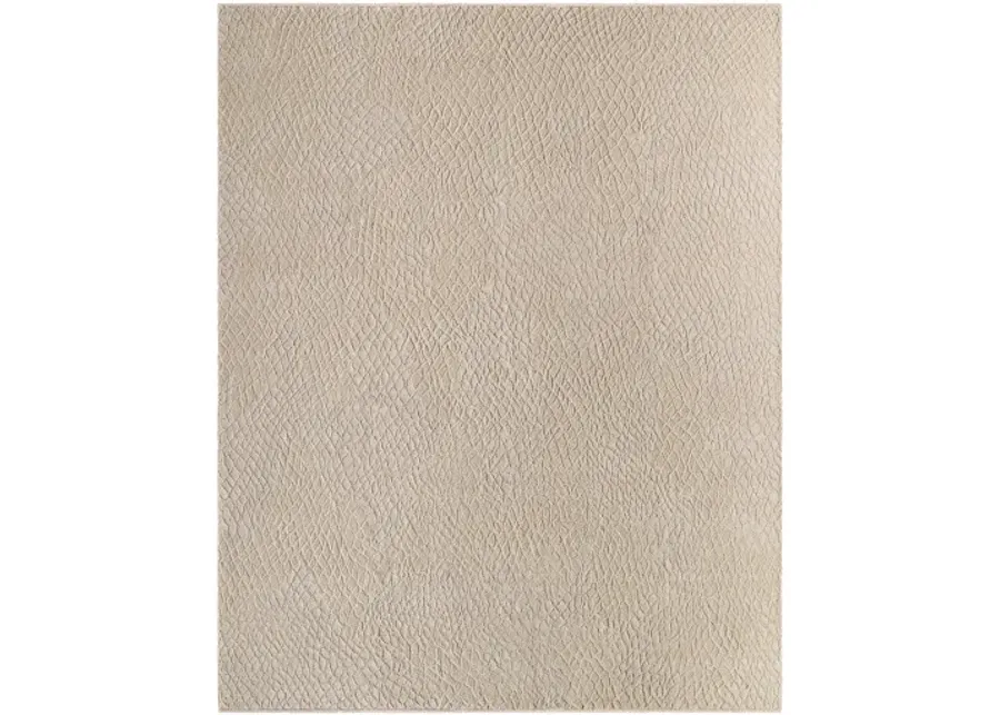 Reyyan RHE-2302 6' x 9' Handmade Rug