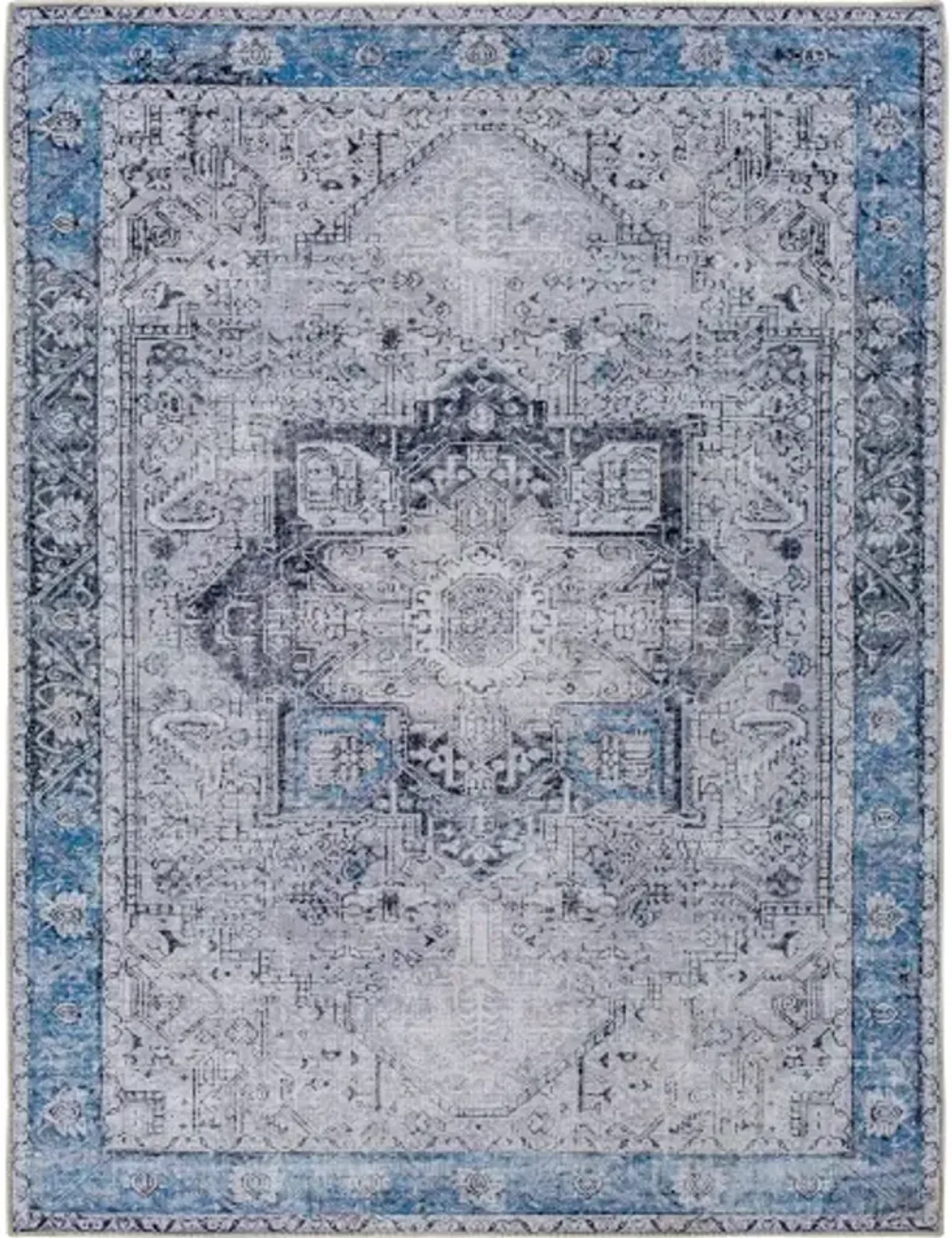 Amelie 8'10" x 12' Rug