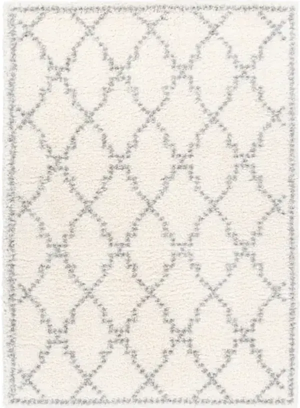 Deluxe Shag 5'3" x 7'3" Rug