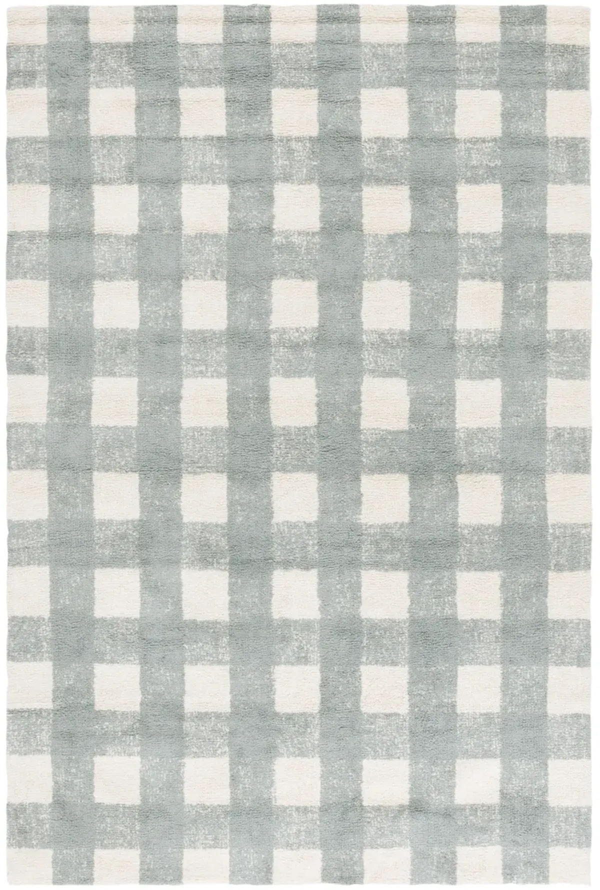 EASY CARE Hand Woven 4' x 6' area rug