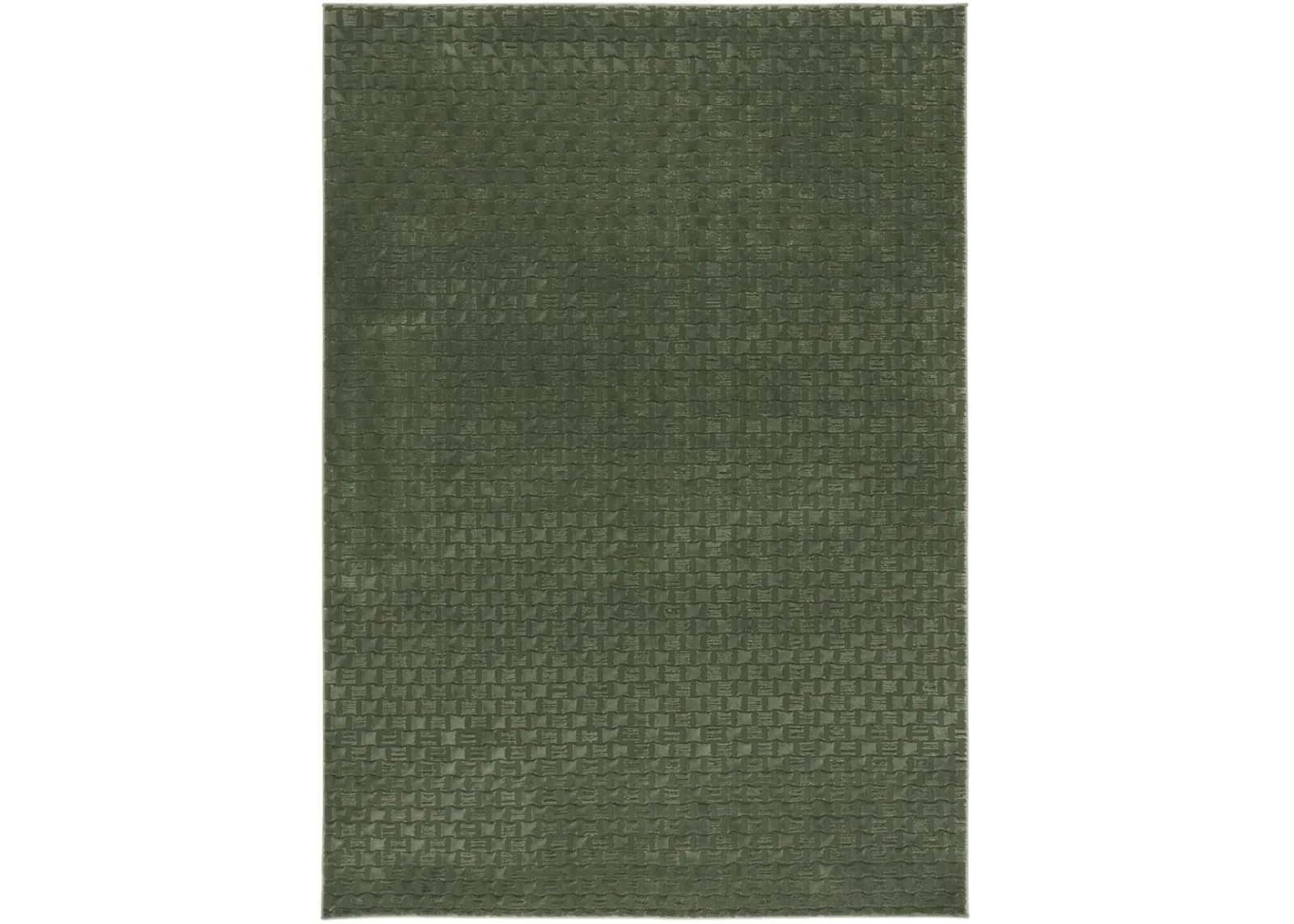 REVIVE 118 GREEN 8' x 10' Large Rectangle Rug