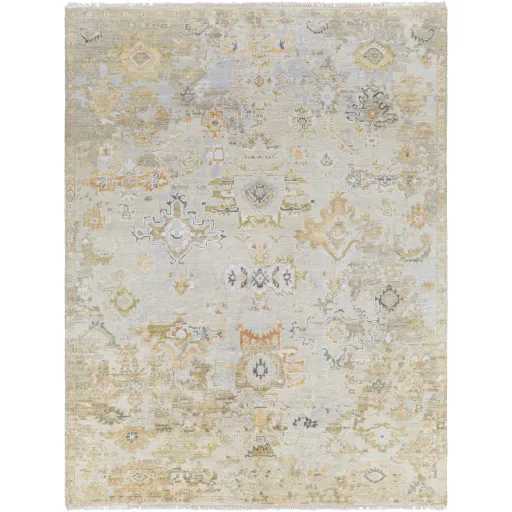 Shiraz SHZ-2301 12' x 15' Handmade Rug