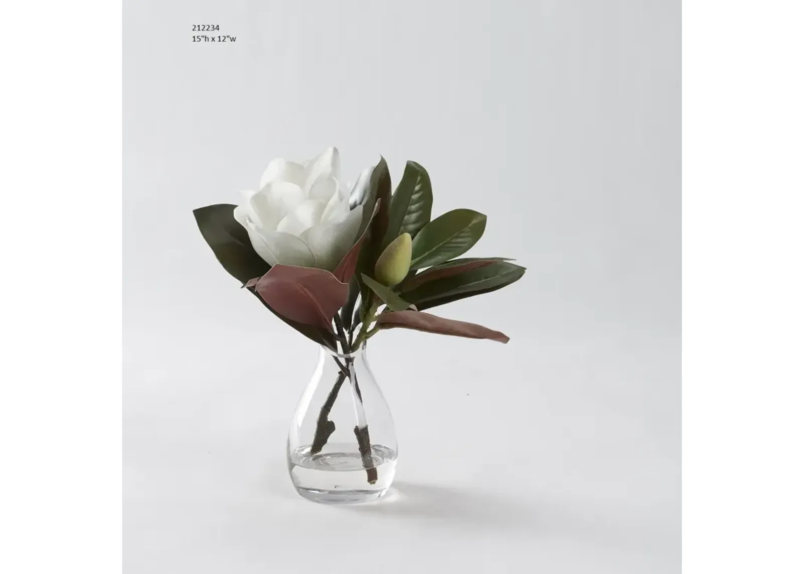 White Magnolia Bloom in Glass Vase