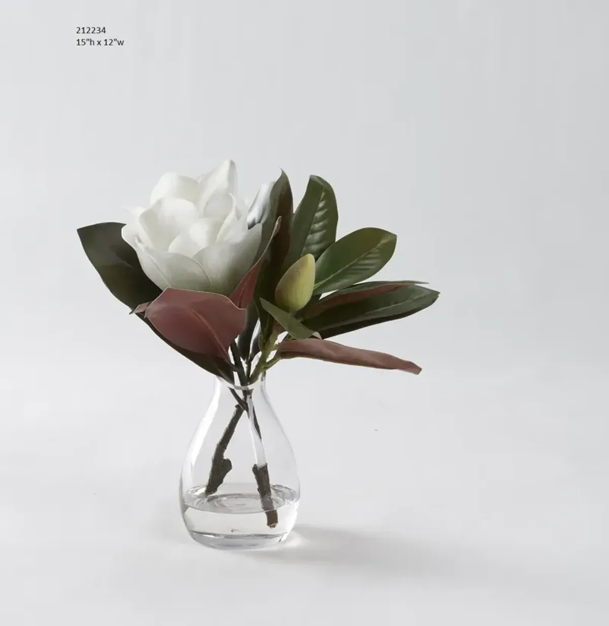 White Magnolia Bloom in Glass Vase