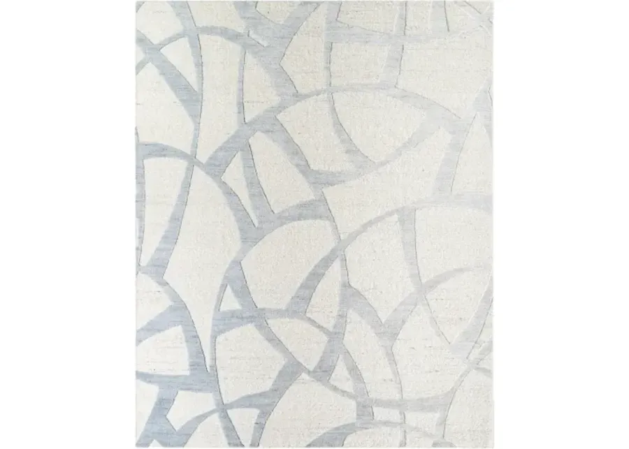 Ombre OMB-2302 9' x 12' Handmade Rug