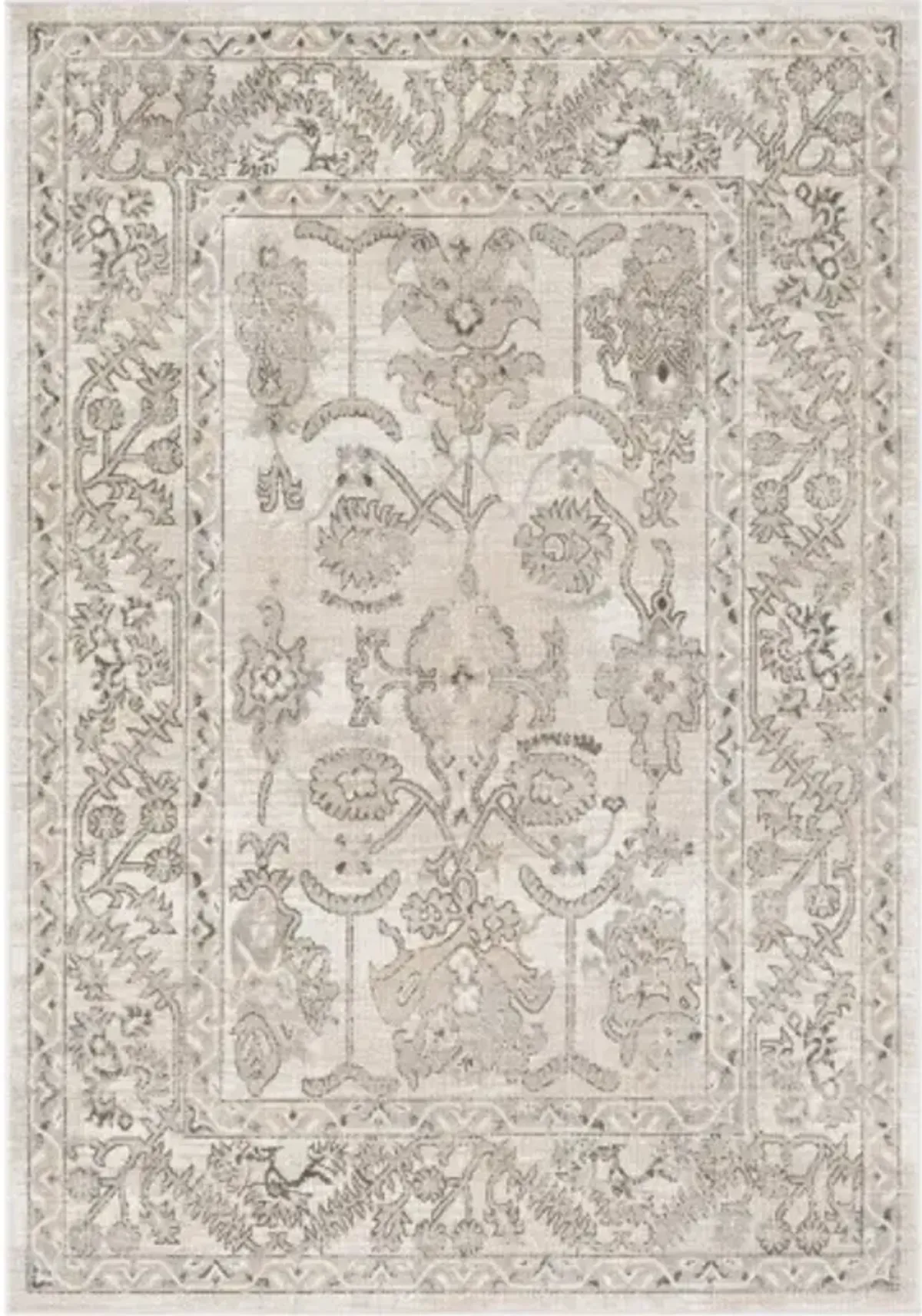 Rafetus 5'3" x 7'7" Rug