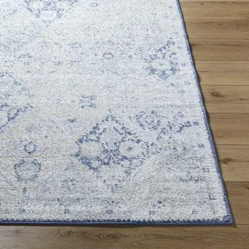 Harput HAP-1169 8'10" x 12'6" Machine Woven Rug