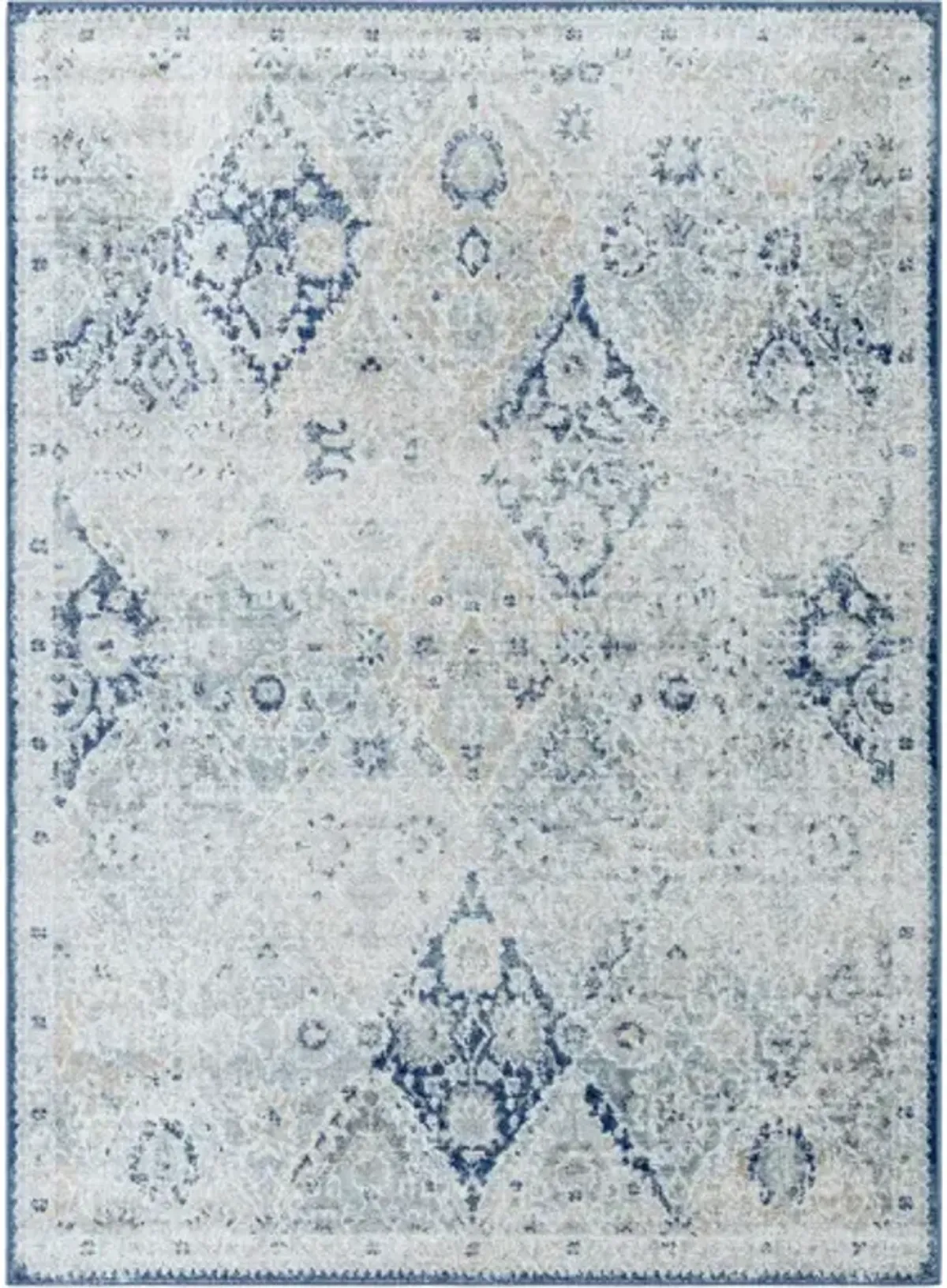 Harput HAP-1169 8'10" x 12'6" Machine Woven Rug