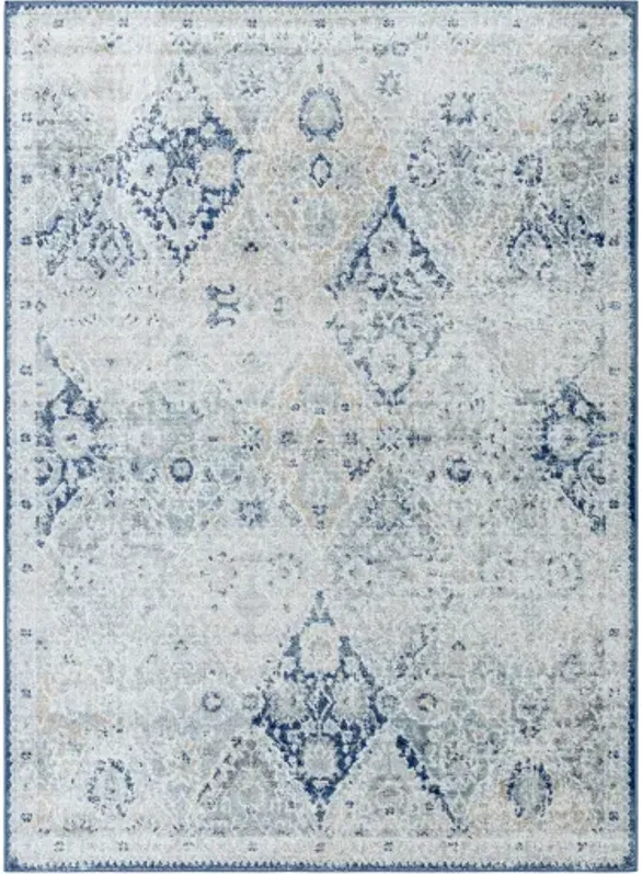 Harput HAP-1169 8'10" x 12'6" Machine Woven Rug