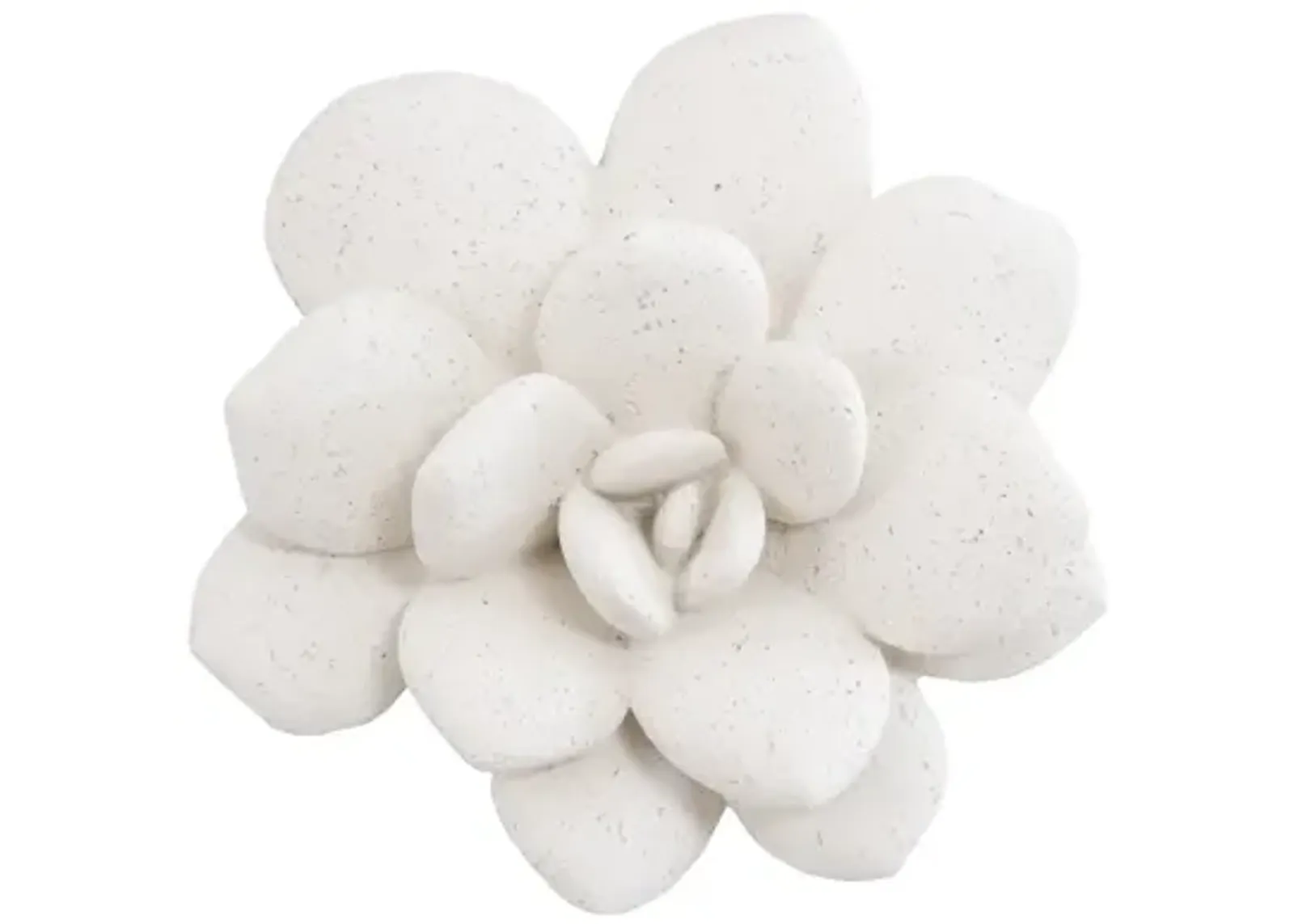 Laui Succulent Wall Art, White Stone