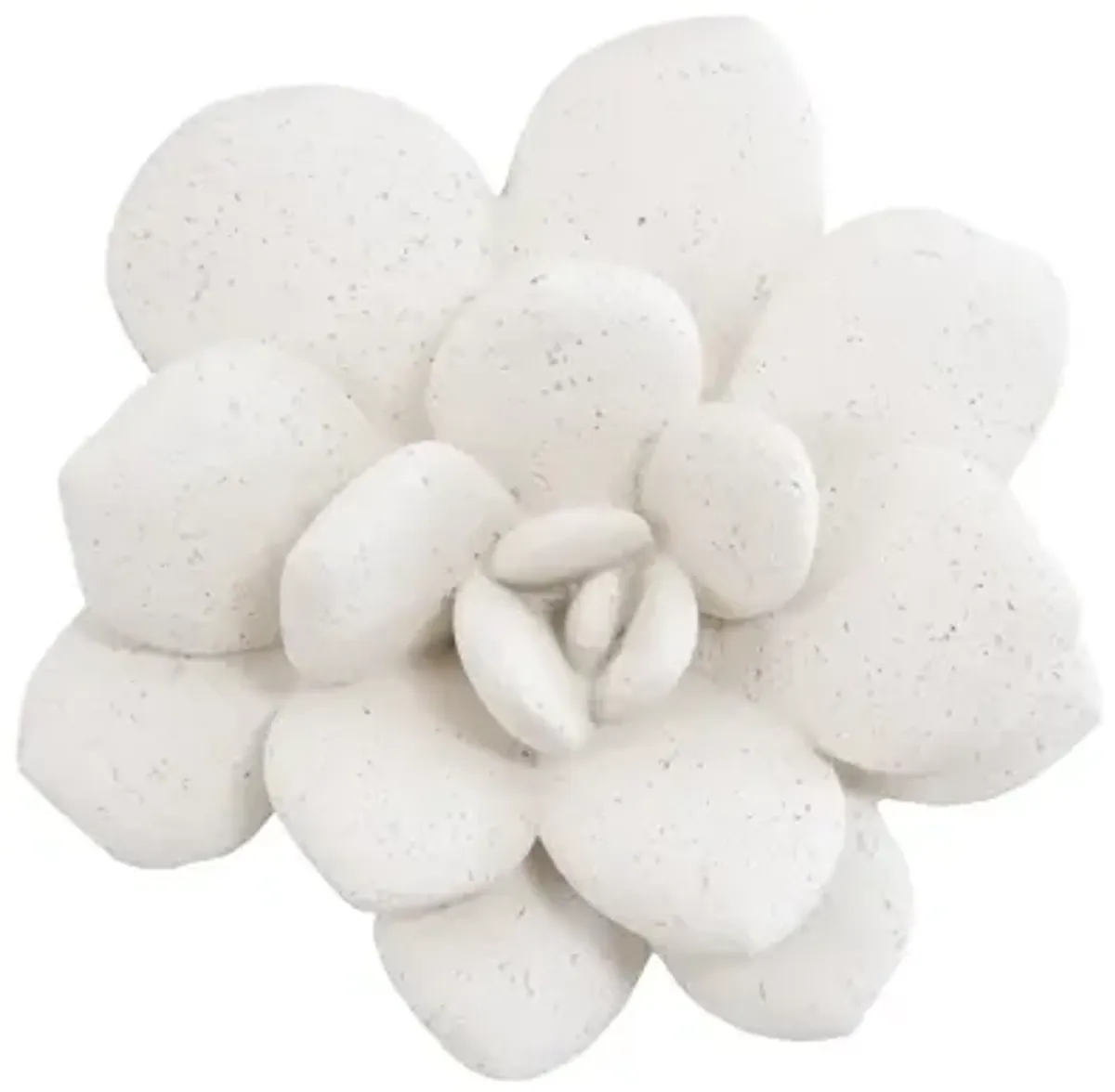 Laui Succulent Wall Art, White Stone