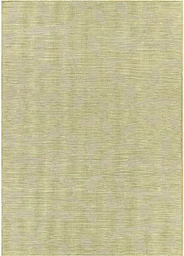 Pasadena 5'1" x 7' Rug