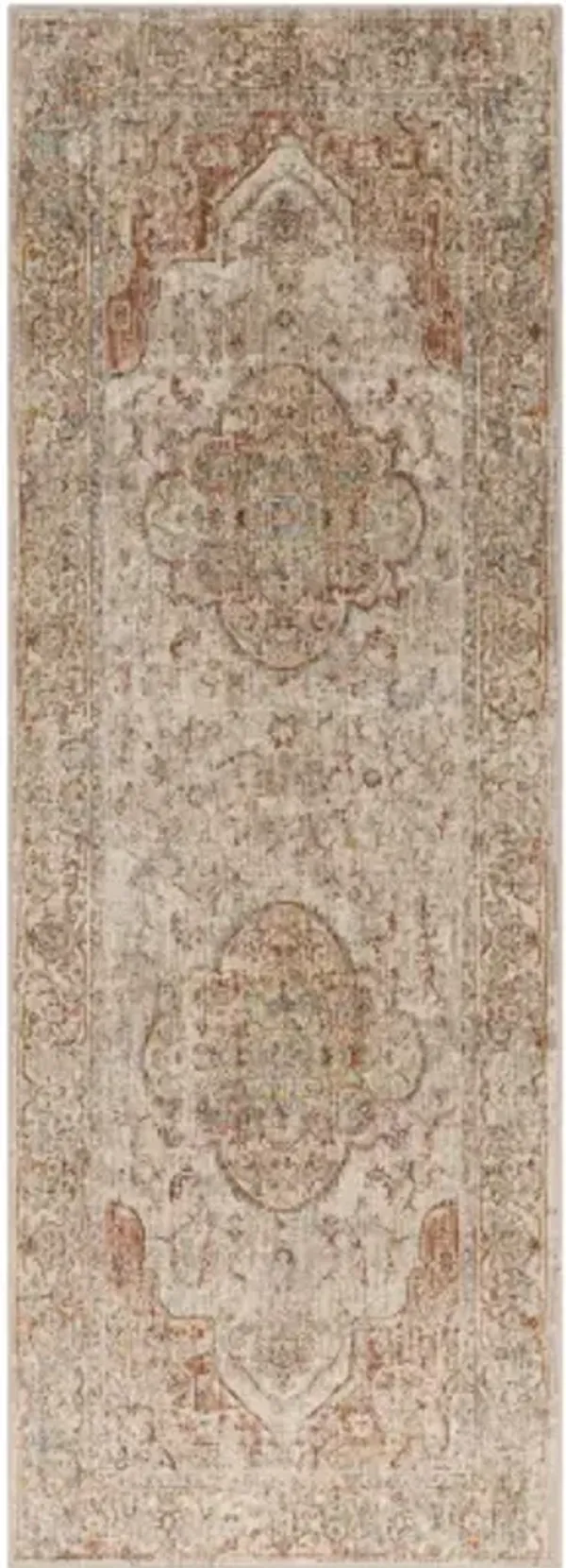Aspendos APS-2305 2'7" x 10' Rug