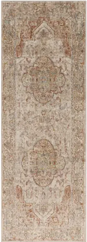 Aspendos APS-2305 2'7" x 10' Rug