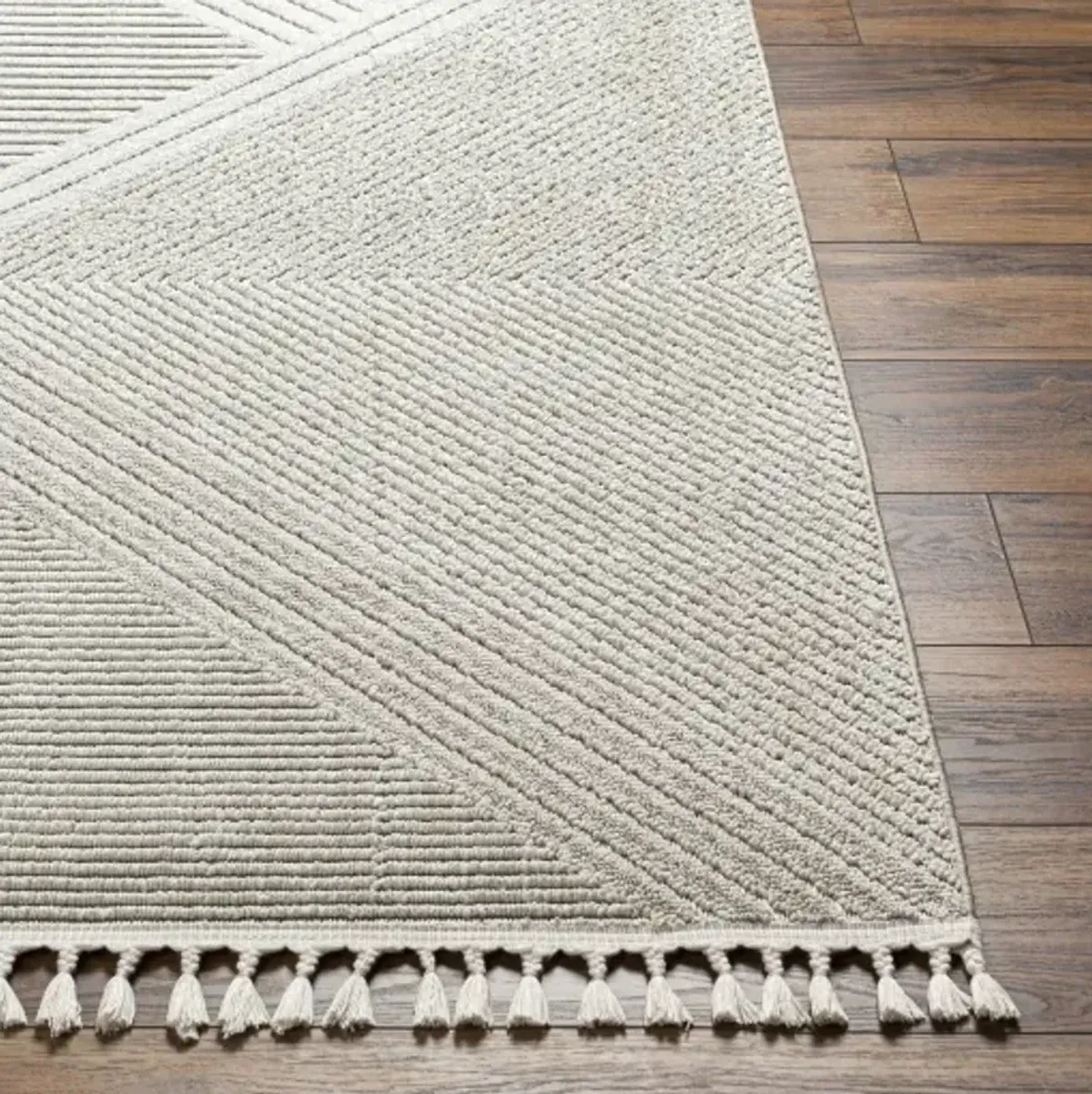 Finland FND-2304 2'2" x 3'9" Machine Woven Rug