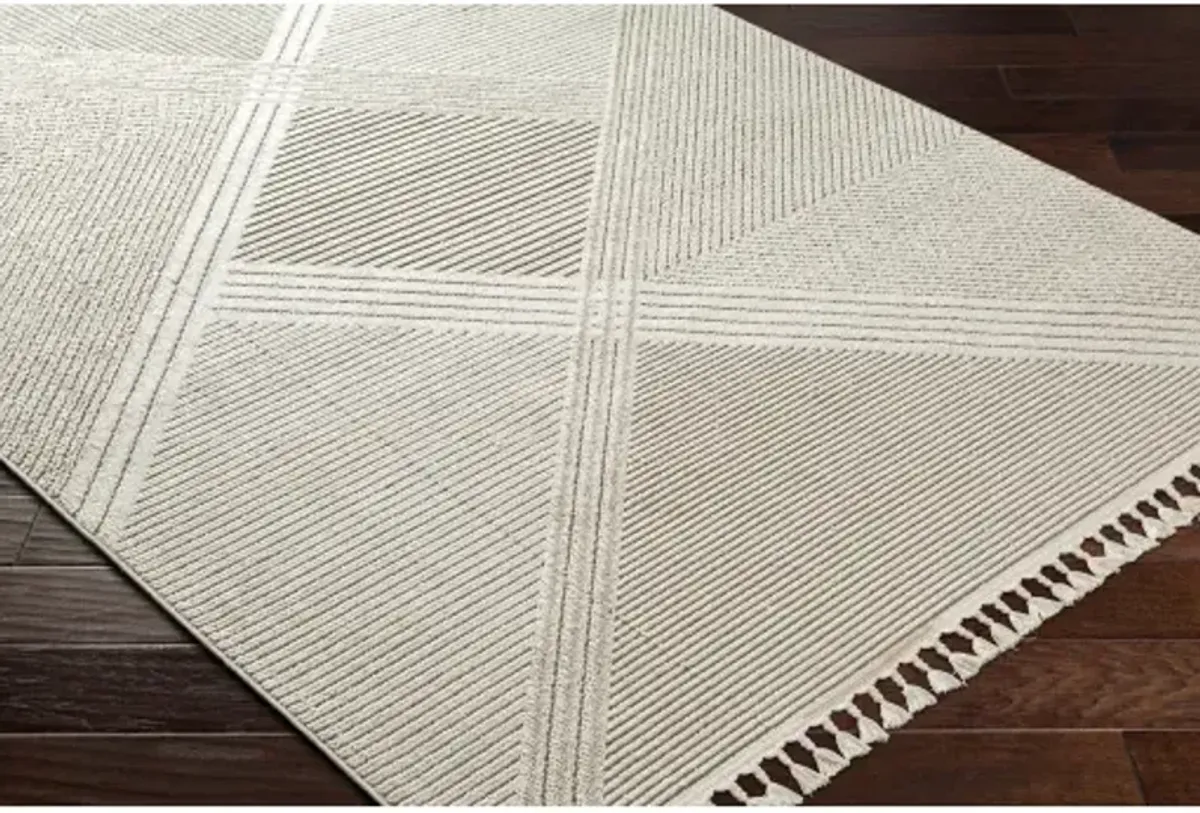 Finland FND-2304 2'2" x 3'9" Machine Woven Rug