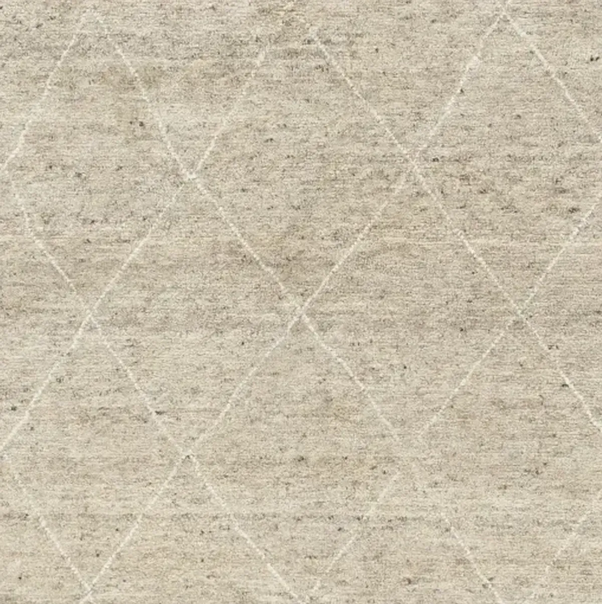 Zara ZAR-2303 10' x 14' Handmade Rug