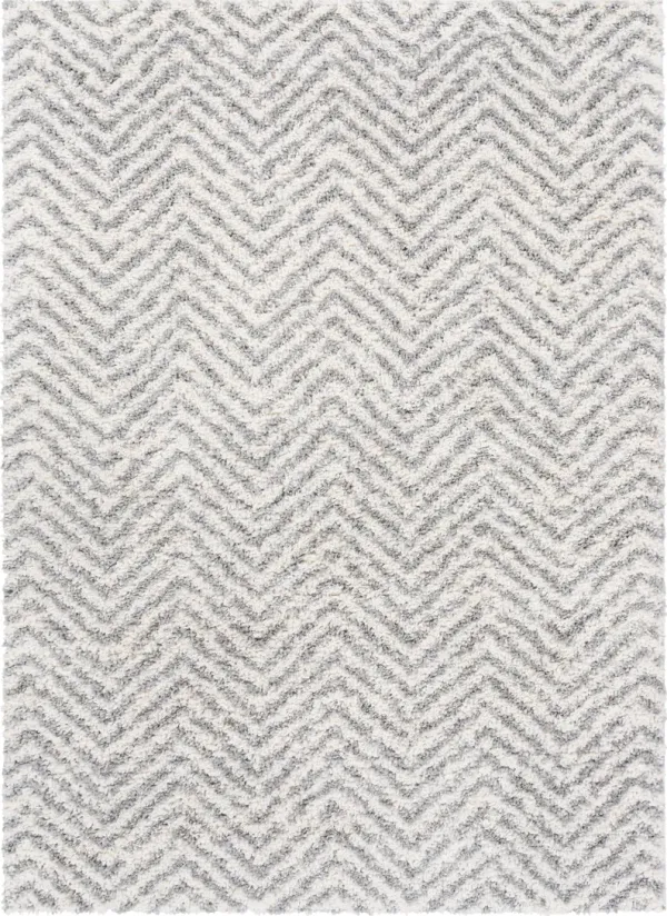 Deluxe Shag 2' x 3' Rug