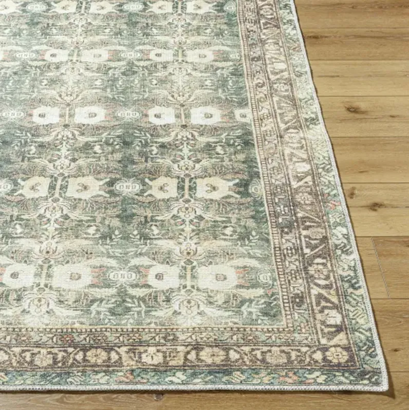 Amelie AML-2396 5'3" x 7'3" Machine Woven Rug