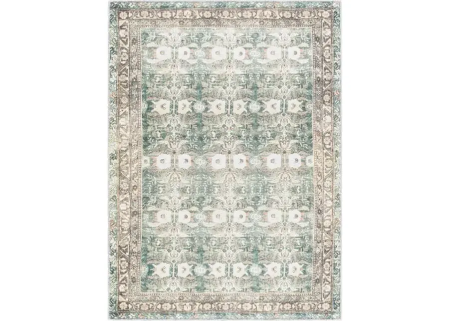 Amelie AML-2396 5'3" x 7'3" Machine Woven Rug