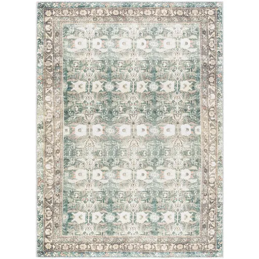 Amelie AML-2396 5'3" x 7'3" Machine Woven Rug