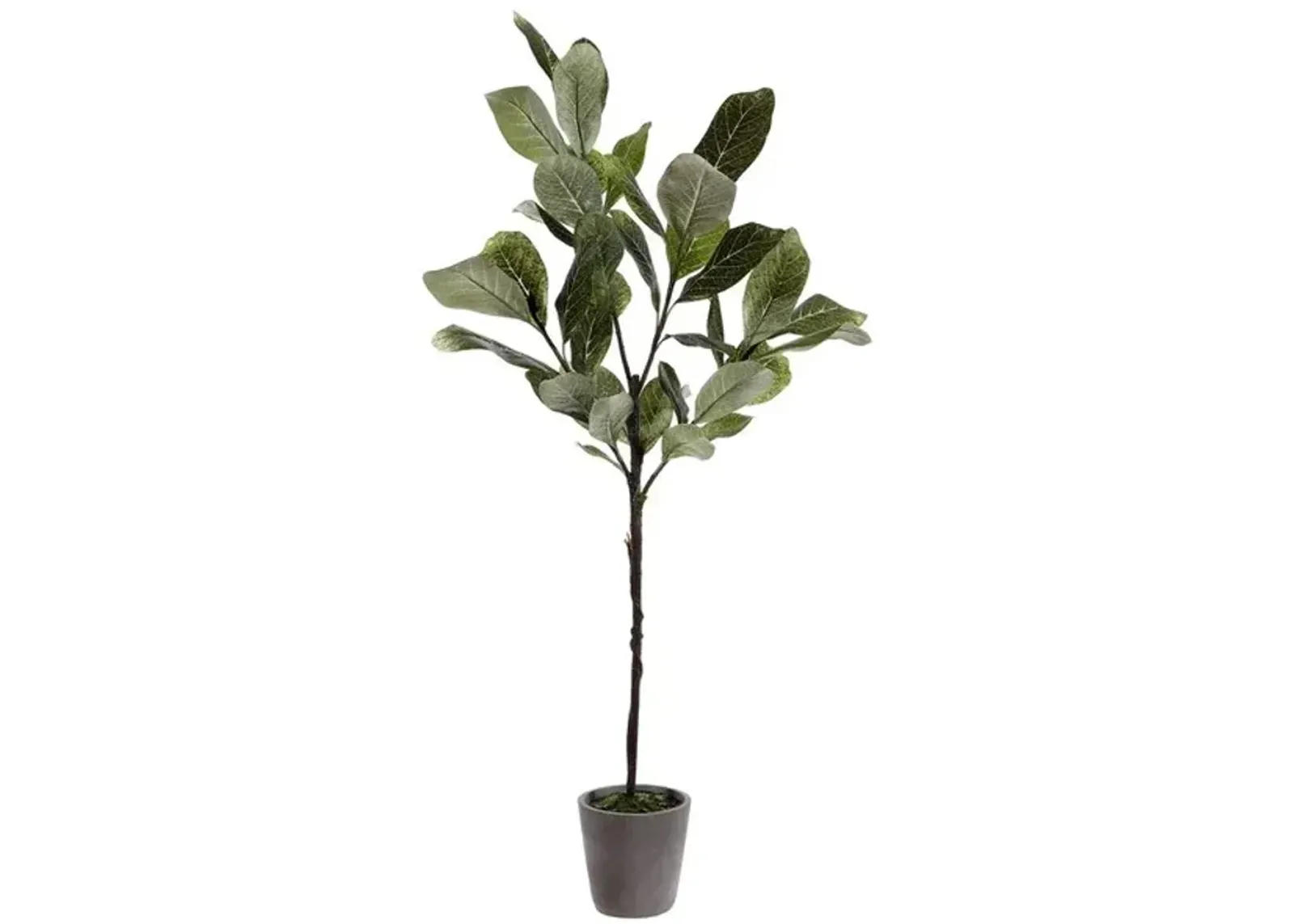 Faux Magnolia Potted Tree