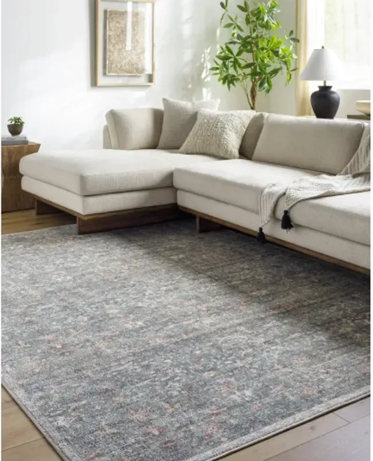 Mary VVMR-2301 2'1" x 3'9" Machine Woven Rug