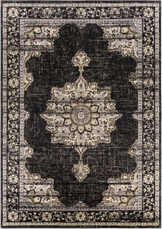 Paramount 1'10" x 2'11" Rug