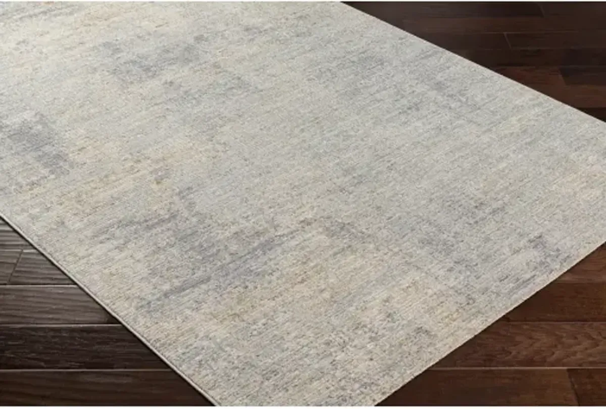 Avant Garde AVT-2345 2'7" x 10' Rug