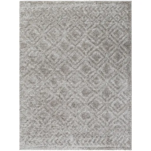 Nomadic NMC-2303 5'3" x 7' Machine Woven Rug