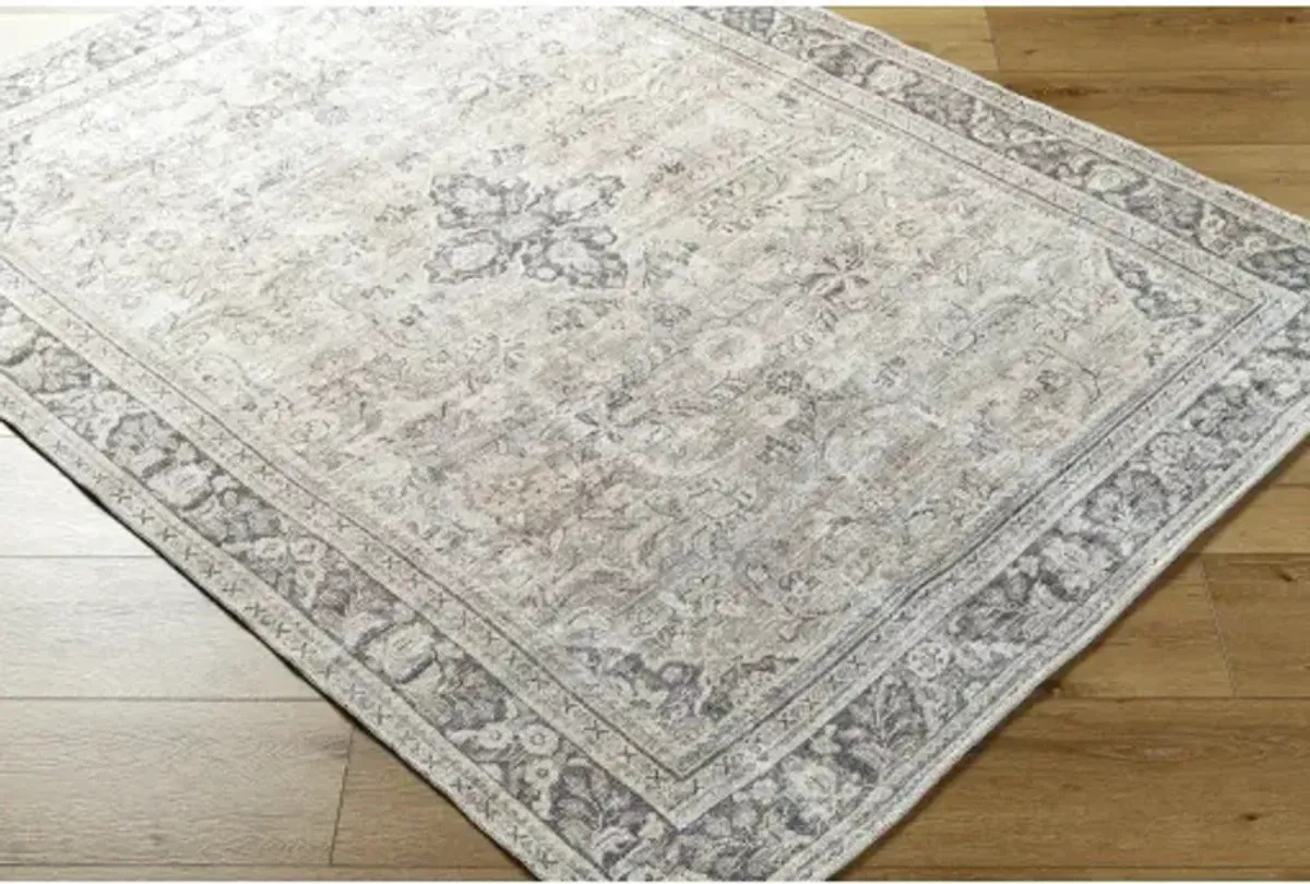 Darling BODA-2304 2'7" x 7'3" Machine Woven Rug