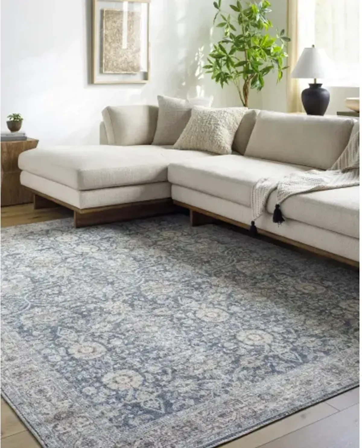 Mary VVMR-2300 5'2" x 7' Machine Woven Rug