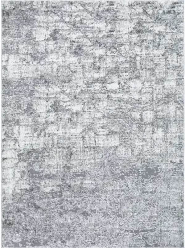 Andorra Plus ARP-2308 7'10" x 10' Machine Woven Rug