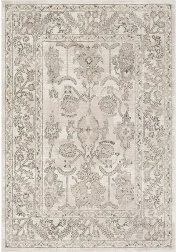 Rafetus 5'3" x 7'7" Rug