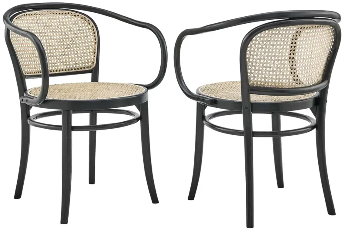 Oliana Wood Dining Armchair Set of 2