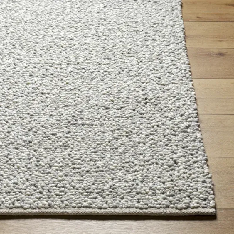 Super Pebble SPB-2301 5' x 7'6" Hand Made Rug