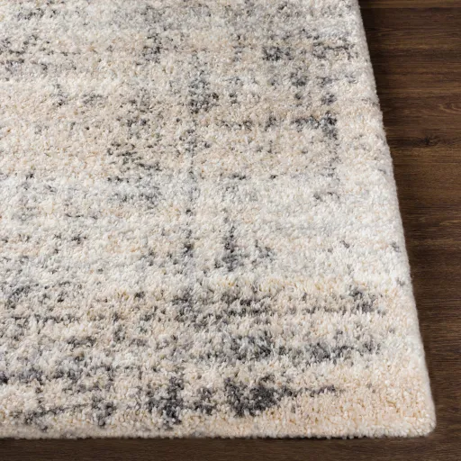 Eskimo Shag 5'3" x 7' Rug