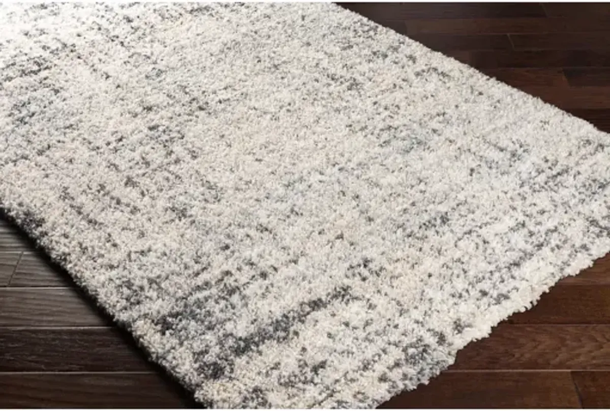 Eskimo Shag 5'3" x 7' Rug