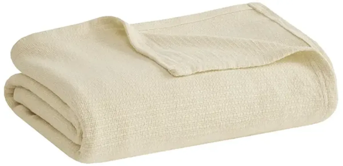 Madison Park Freshspun Basketweave Natural Cotton Blanket