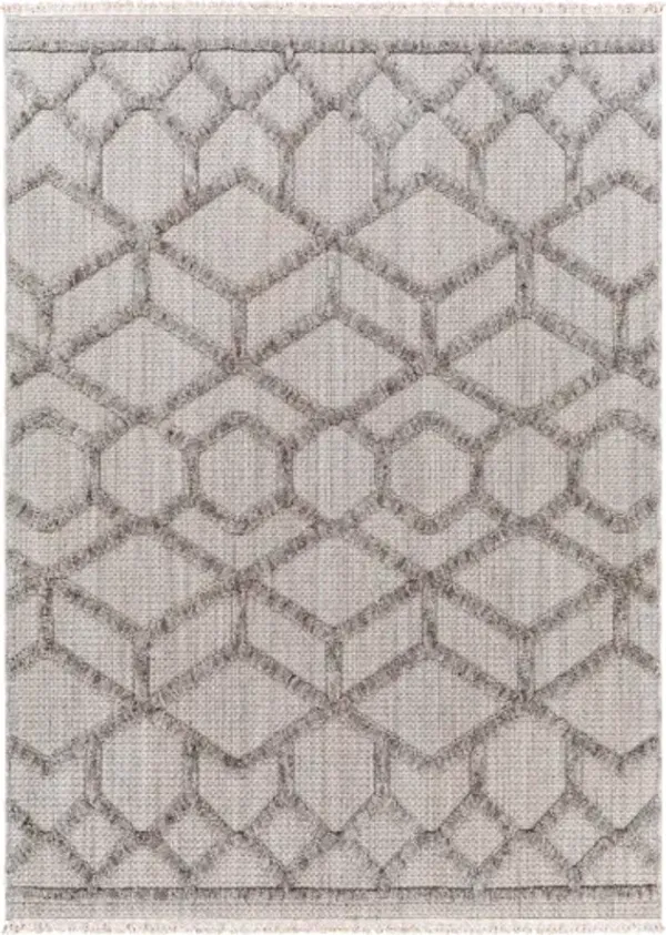 Zaragoza ZRZ-2304 2'7" x 7'3" Rug