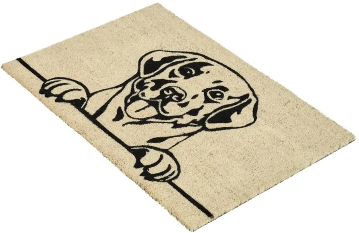 Good Dog 24"x36" Doormat Choir Front and PVC Backing Black and Sand