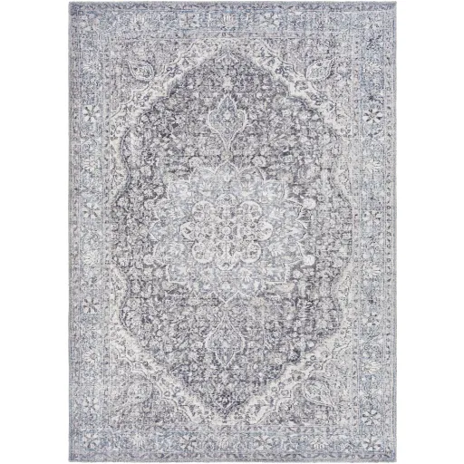 Colin CLN-2308 2'7" x 7'3" Rug