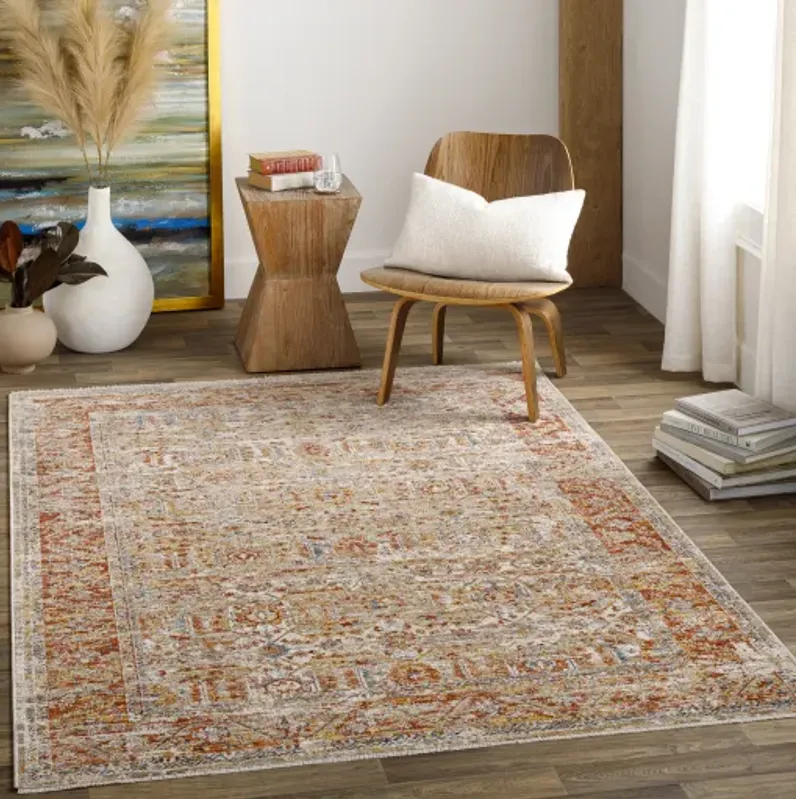 Aspendos APS-2311 2'7" x 10' Rug