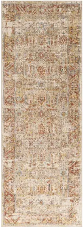 Aspendos APS-2311 2'7" x 10' Rug