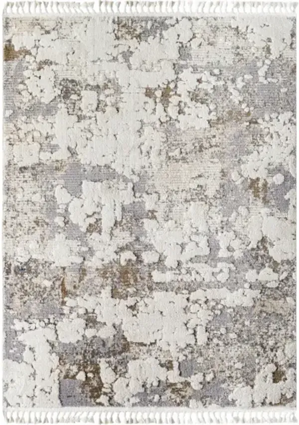 Rudy RDY-2309 5'3" x 7' Machine Woven Rug