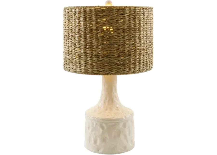 Conway CNW-004 25"H x 15"W x 15"D Accent Table Lamp