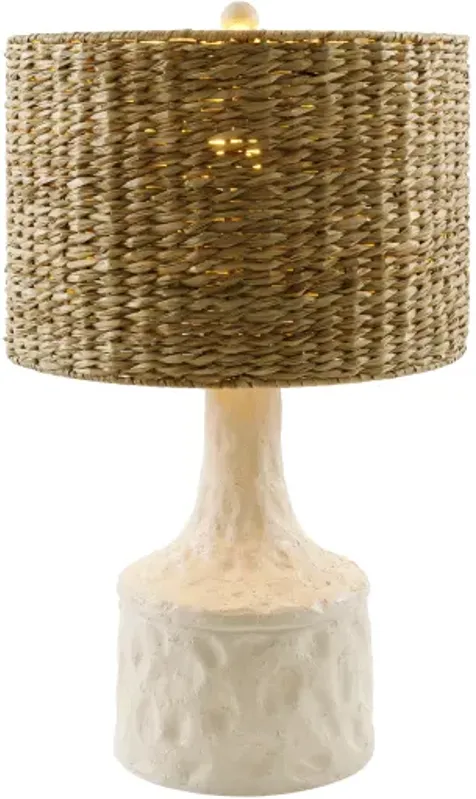 Conway CNW-004 25"H x 15"W x 15"D Accent Table Lamp