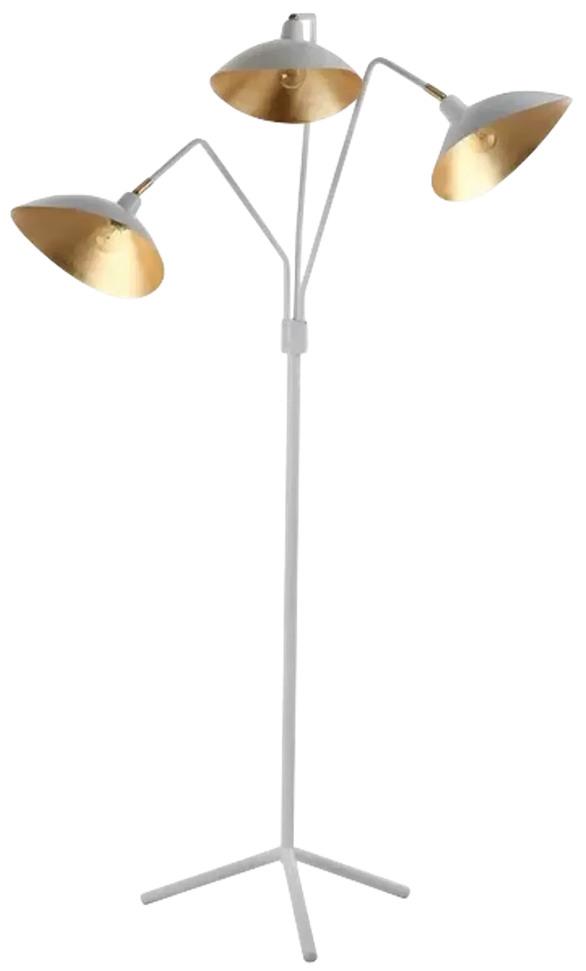 Iris 69.5-Inch H Floor Lamp